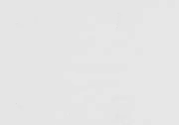 White Two-Ply Cotton — The cloth