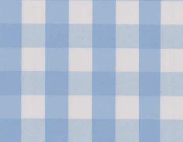 Light Blue Gingham Check — The cloth