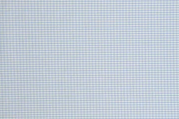 Light Blue Graph Check — The cloth