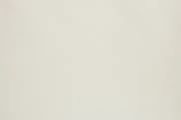 Cream Cotton Poplin — The cloth