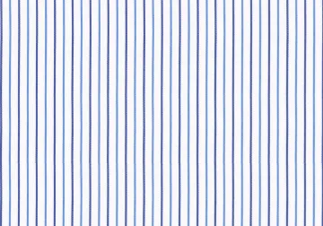 Blue Stripe — The cloth