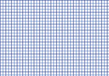 Blue Grid Check — The cloth